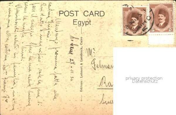 Kamel  Camel Chameau Ägypten Wüste – Bild 2