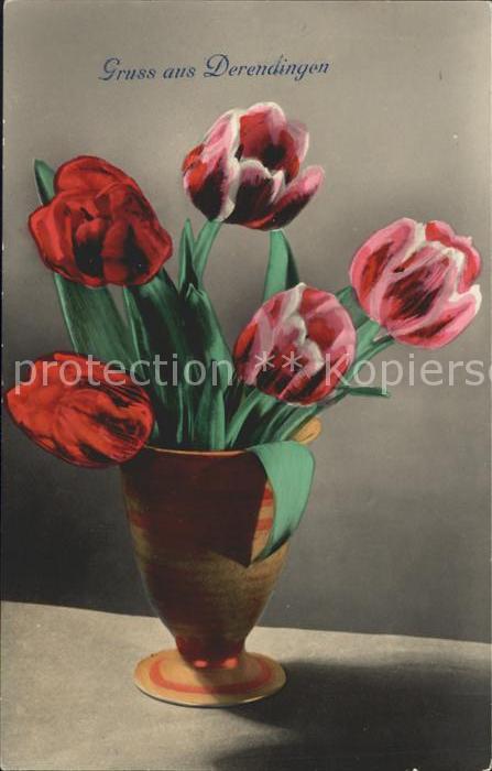 Blumen Tulpen Gruss aus Derendingen