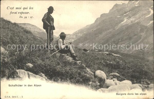 Hirte Schafhüter Alpen
