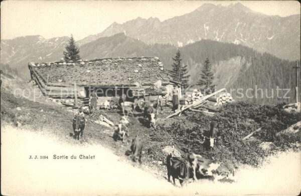 Kuehe Sortie du Chalet