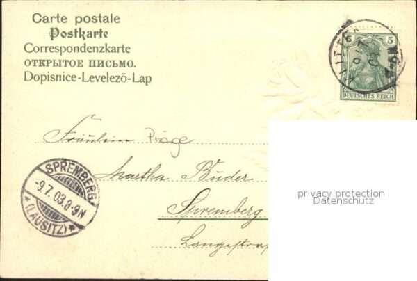 Rosen Maiglöckchen – Bild 2