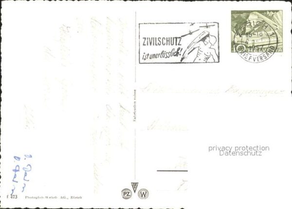 Schwan Enten Zürich – Bild 2