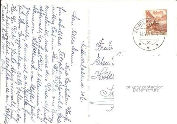 Hirte Schafe – Bild 2