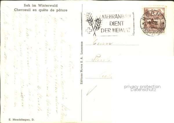 Reh Winterwald – Bild 2