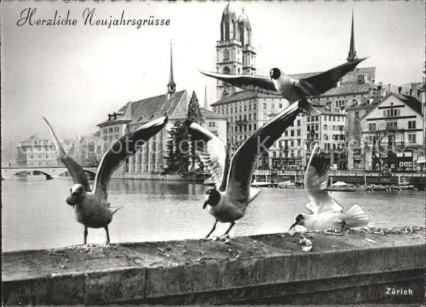 Moewen Neujahr Zürich