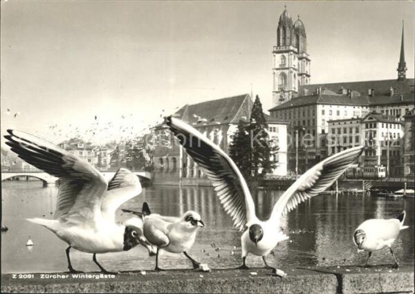 Moewen Zürich
