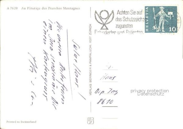 Pferde Paturage Franches Montagnes – Bild 2