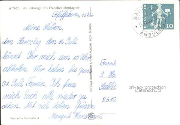 Pferde Paturage des Franches Montagnes – Bild 2