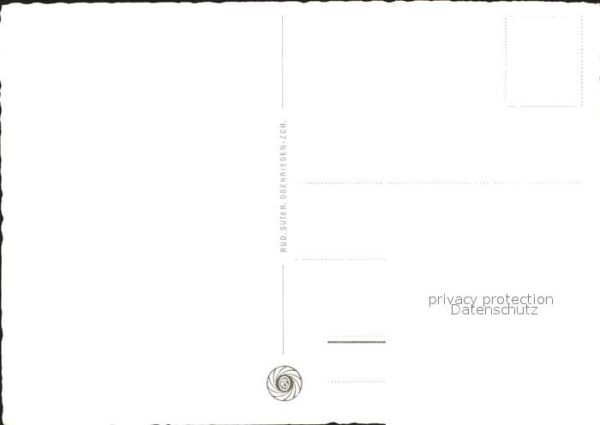 Murmeltier – Bild 2
