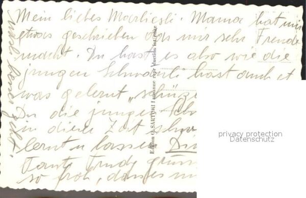 Schwan Schwanenfamilie Lac Leman – Bild 2