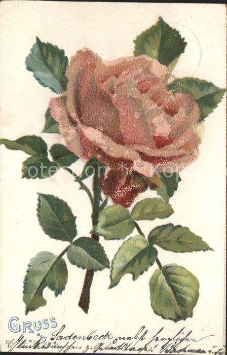 Rosen Gruss