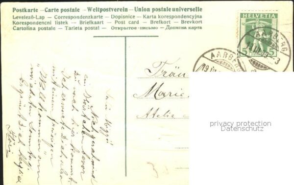 Voegel Schwalben Nest Kleeblatt – Bild 2