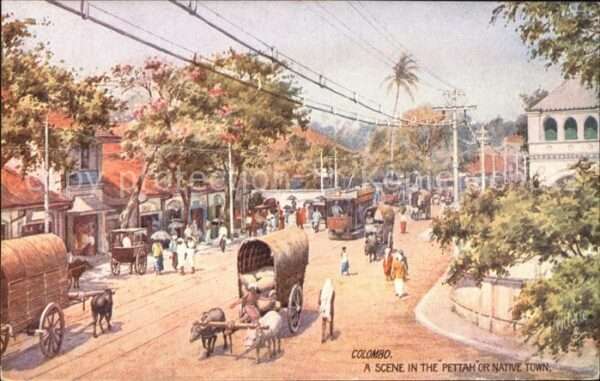 Verlag Tucks Oilette Nr. 8937 Colombo Pettah Native Town Ochsenw