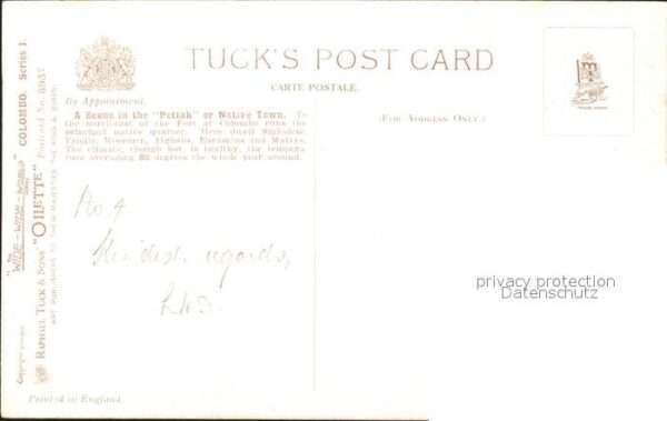 Verlag Tucks Oilette Nr. 8937 Colombo Pettah Native Town Ochsenw – Bild 2
