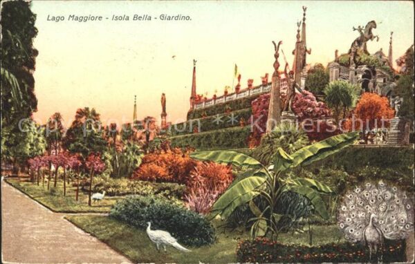 Isola Bella Lago Maggiore Giardino Pfauen