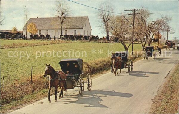 Johnstown Pennsylvania Mennonite Carriages at Church Pferdewag