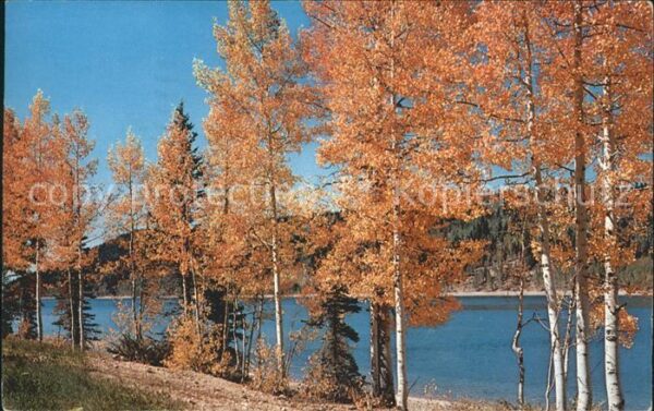 Branchville New Jersey Lake in Autumn