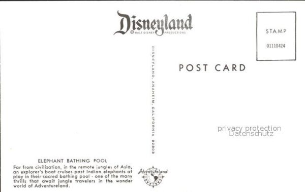 Disneyland Orlando Elephant Bathing Pool Elefanten Boot – Bild 2