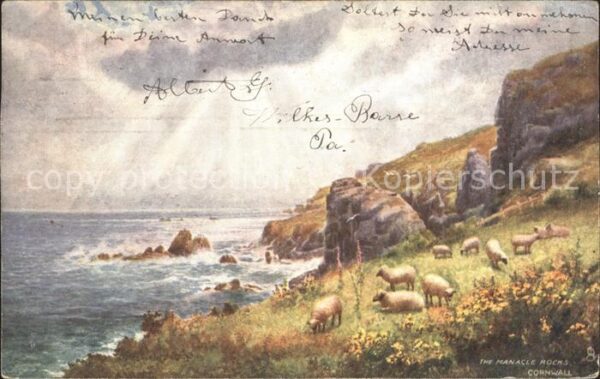 Verlag Tucks Oilette Nr. 7117 Manacle Rocks Cornwall Schafe