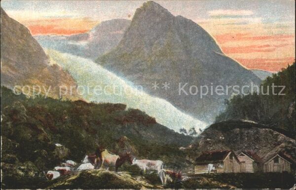 Kuehe Berge Natur