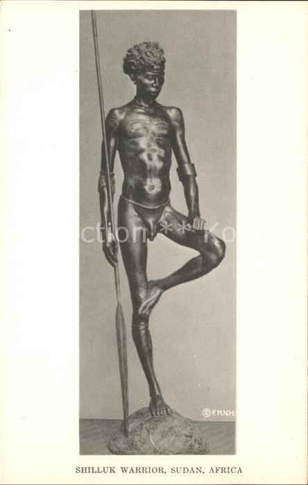 Skulpturen Shilluk Warrior Sudan Africa Field Muse