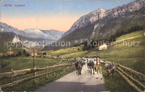 Kuehe Alpfahrt