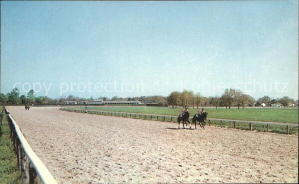 Pferdesport Pferderennen Reitsport Aiken South Carolina