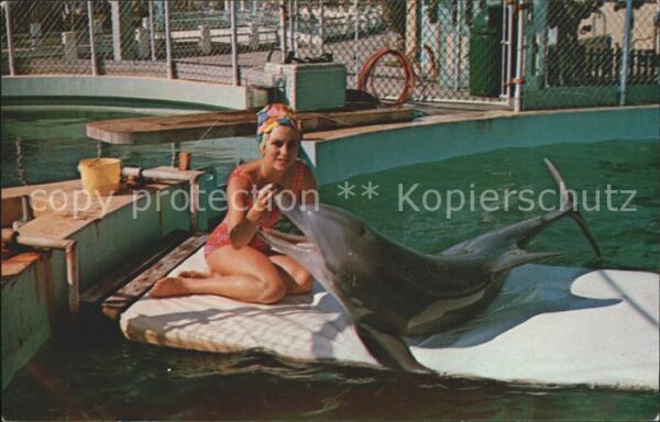 Delfine Delphine Dolphins Dauphins Delfi Fabulous Miami Seaquarium