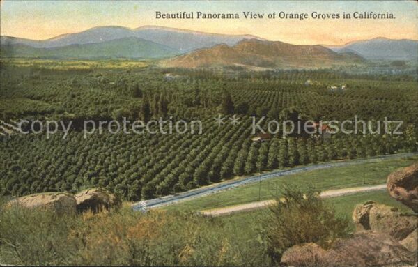 Landwirtschaft Orange Groves California