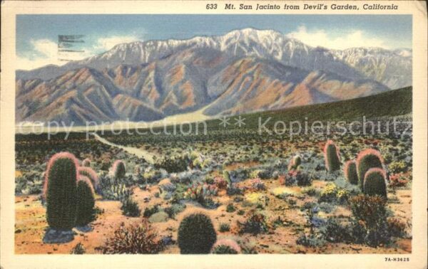 Kakteen Mt. San Jacinto Devil's Garden Californ