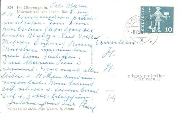 Murmeltier Oberengadin – Bild 2