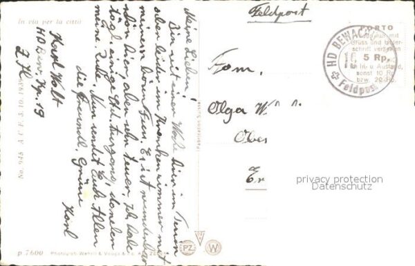 Esel Tiere Kutsche – Bild 2