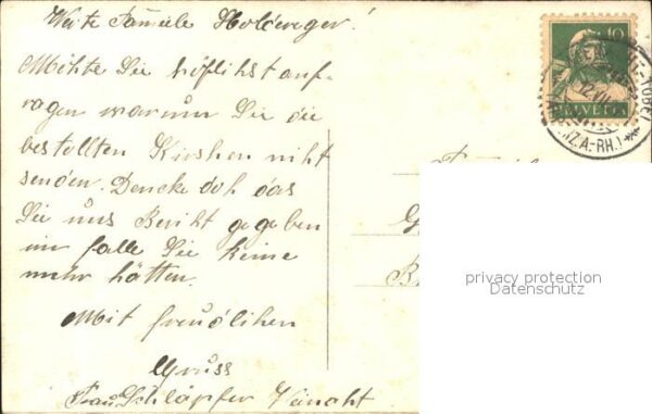 Schafe Lämmer – Bild 2
