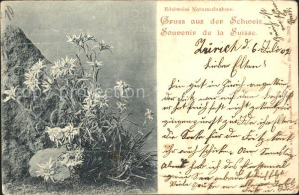 Edelweiss Schweiz
