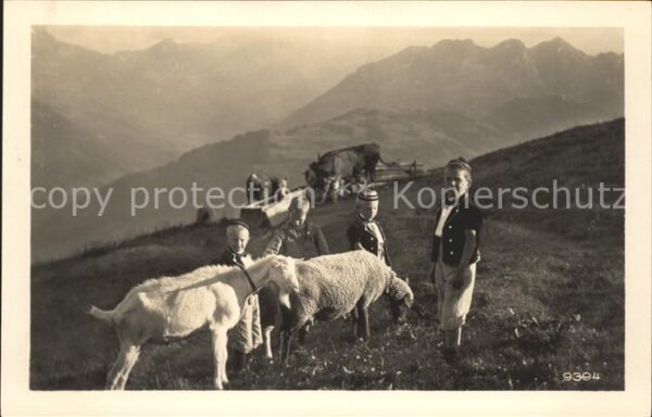 Schafe Ziege Kuh Kinder