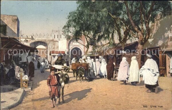 Esel Tiere Typen Arabien Une rue
