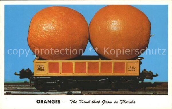 Orangen Oranges Florida