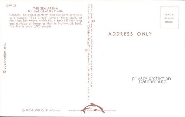 Delfine Delphine Dolphins Dauphins Delfi Sea Arena Marineland of the Pacific – Bild 2