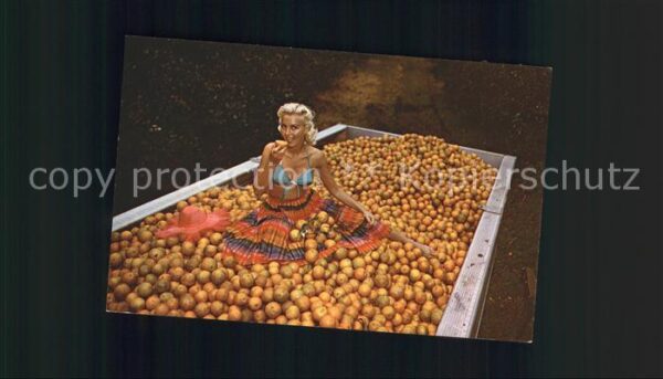 Orangen Oranges Ernte Florida Frau