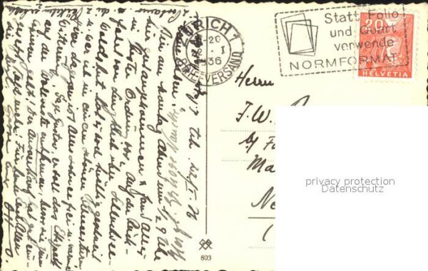 Pferdekutschen – Bild 2