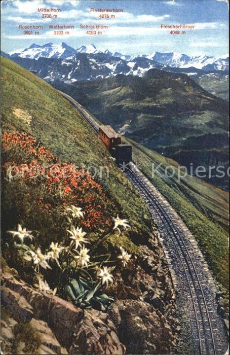 Zahnradbahn Brienzer Rothorn Berner Hochalpen Edelw