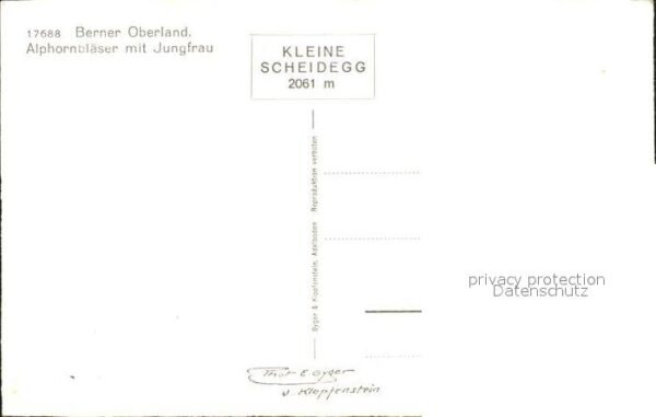 Alphorn Alphornbläser Jungfrau Berner Oberland – Bild 2