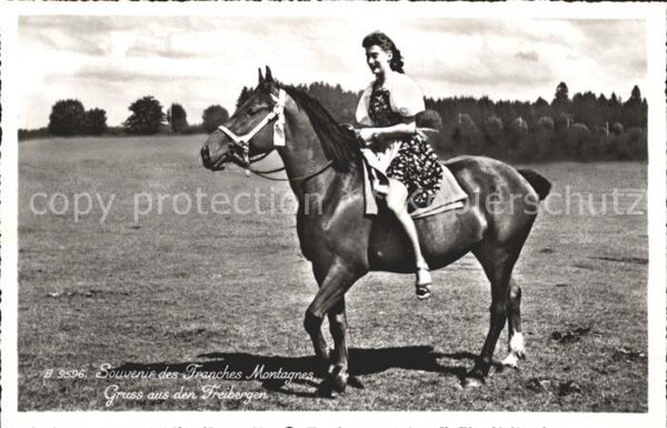 Pferde Frau reiten Franches Montagnes Freiberg