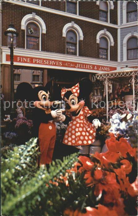 Disneyland California The Flower of his Eye Mickey Mouse Minn