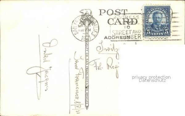 Moewen Seemöwe Seagull Pacific – Bild 2