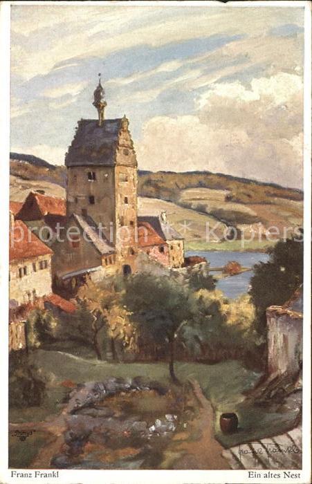 Verlag Primus Nr. 03391 Franz Frankl Ein altes Nest