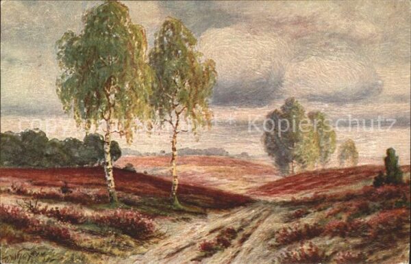 Hoy Walter Blühende Heide Nr. 1081 Bäume