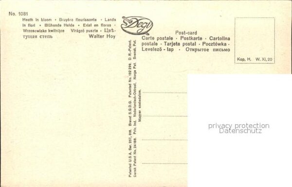 Hoy Walter Blühende Heide Nr. 1081 Bäume – Bild 2