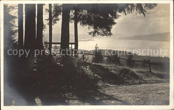 Foto Gaberell J. Nr. 2344 Zürichsee