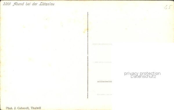 Foto Gaberell J. Nr. 2201 Abend Lützelau – Bild 2